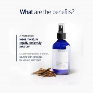 PYUNKANG YUL Mist Toner
